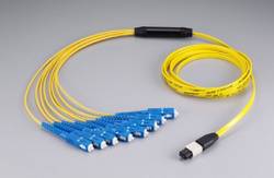MPO fan-out patch cord
